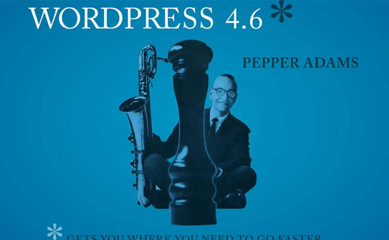 WordPress 4.6 Pepper veröffentlicht